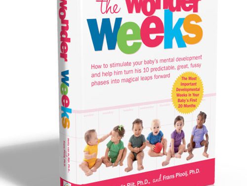 The Wonder Weeks Book Interview