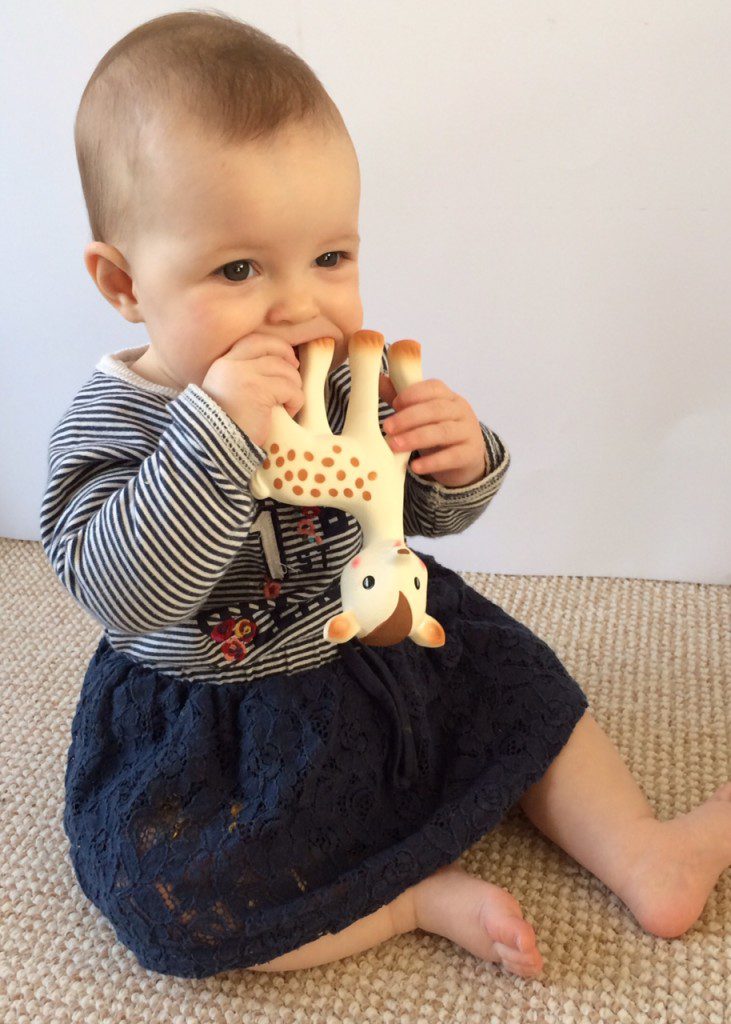 REVIEW Fan Fan the Fawn Real Mum Reviews