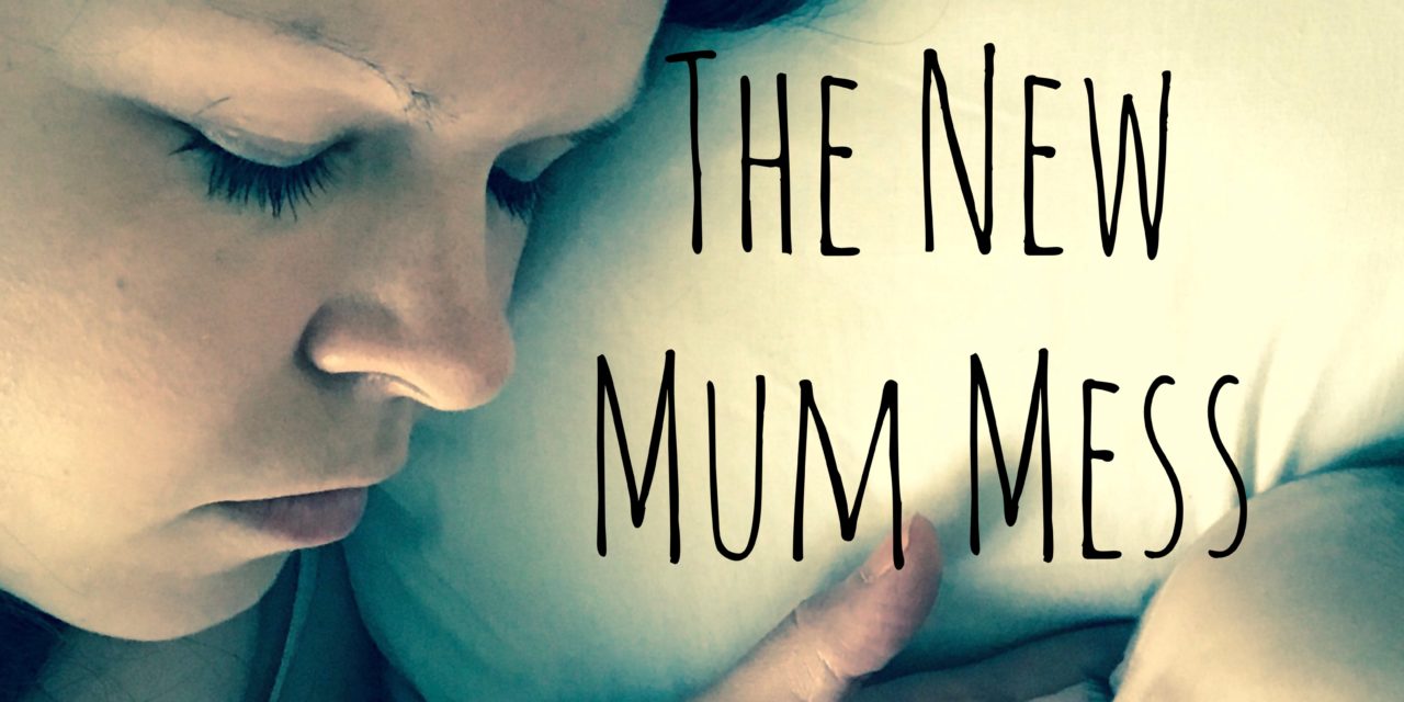 The New Mum Mess