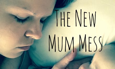 The New Mum Mess