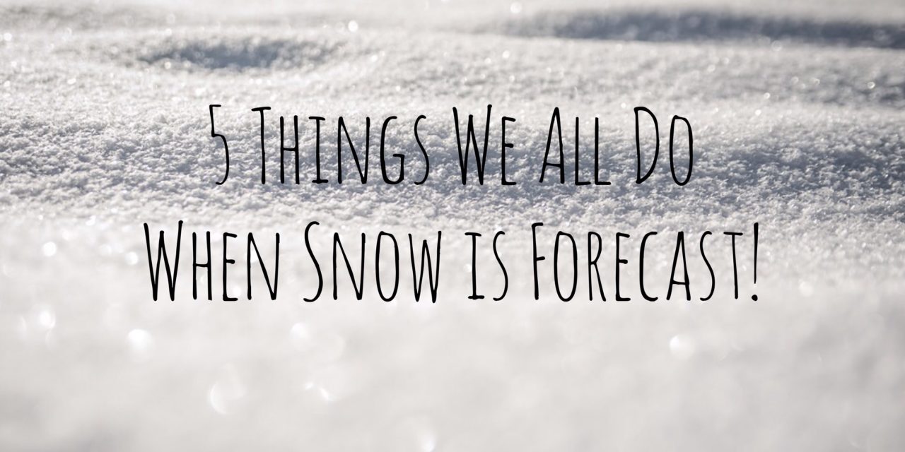 5 Things we all do when snow is forecast!