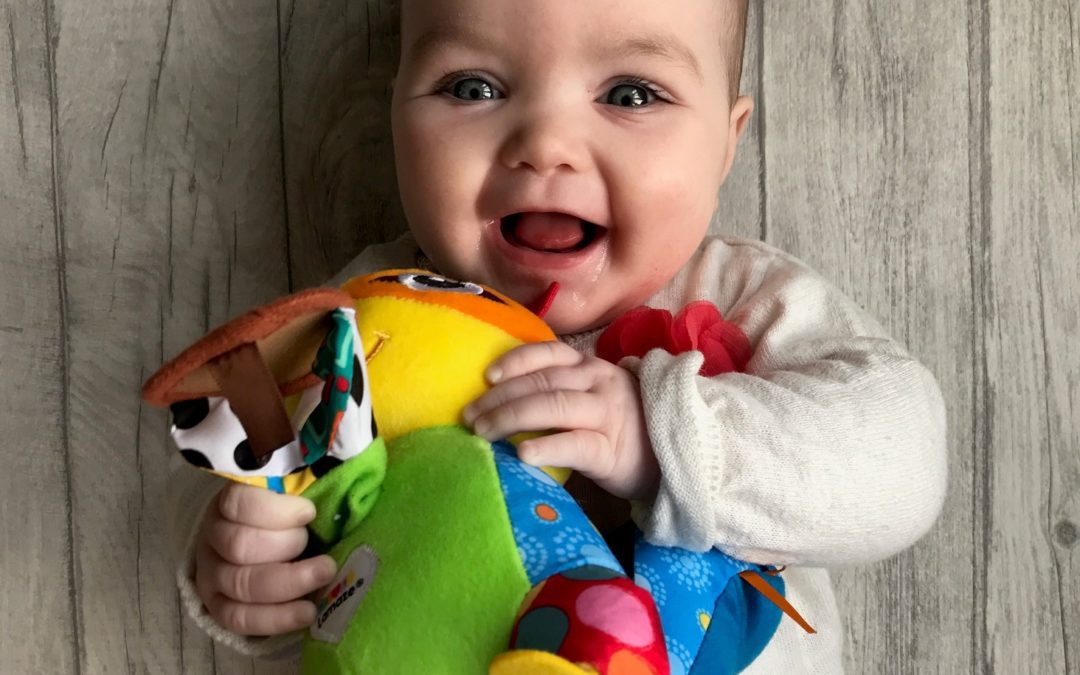 REVIEW – Lamaze Toys – New Additions