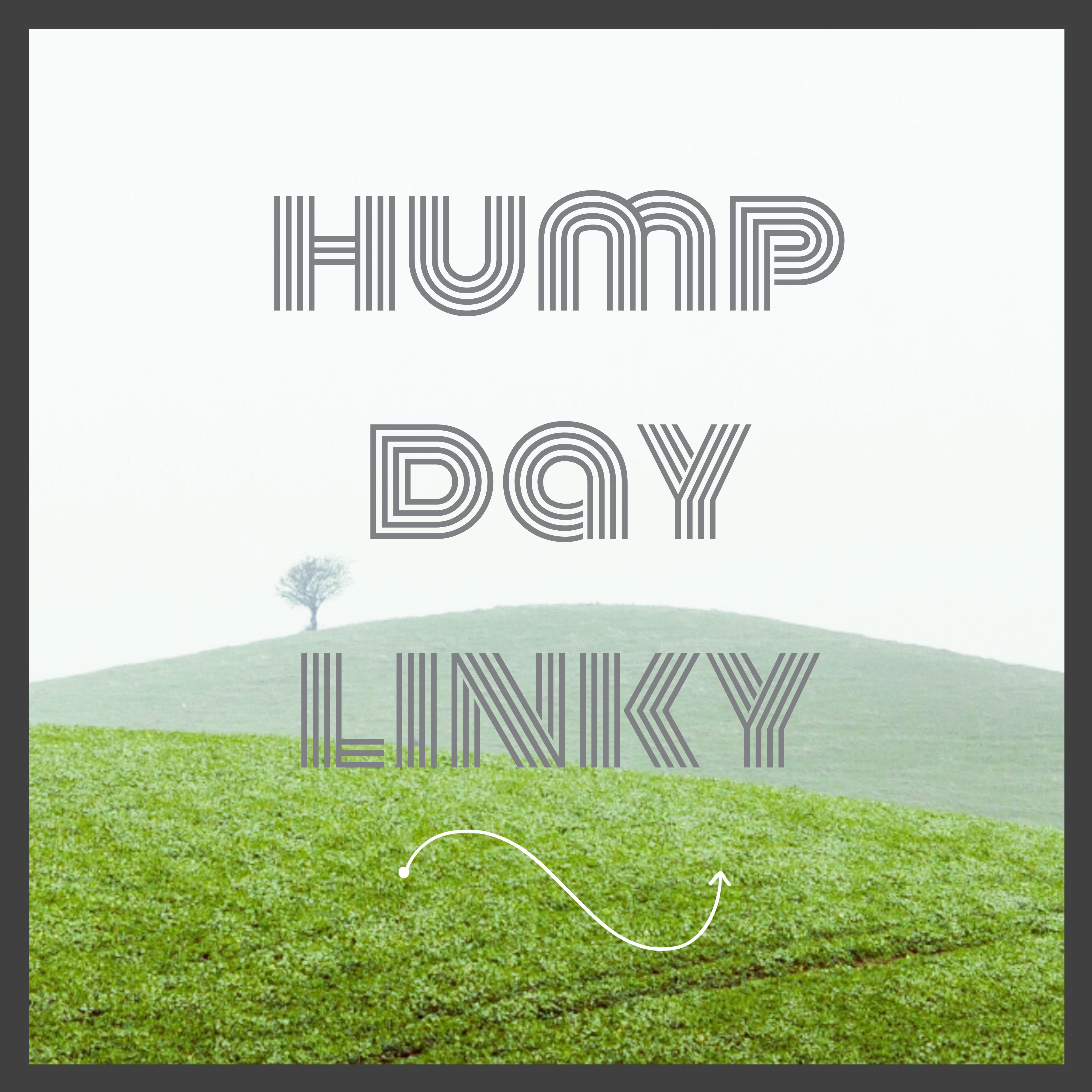 Hump Day Linky 16/8