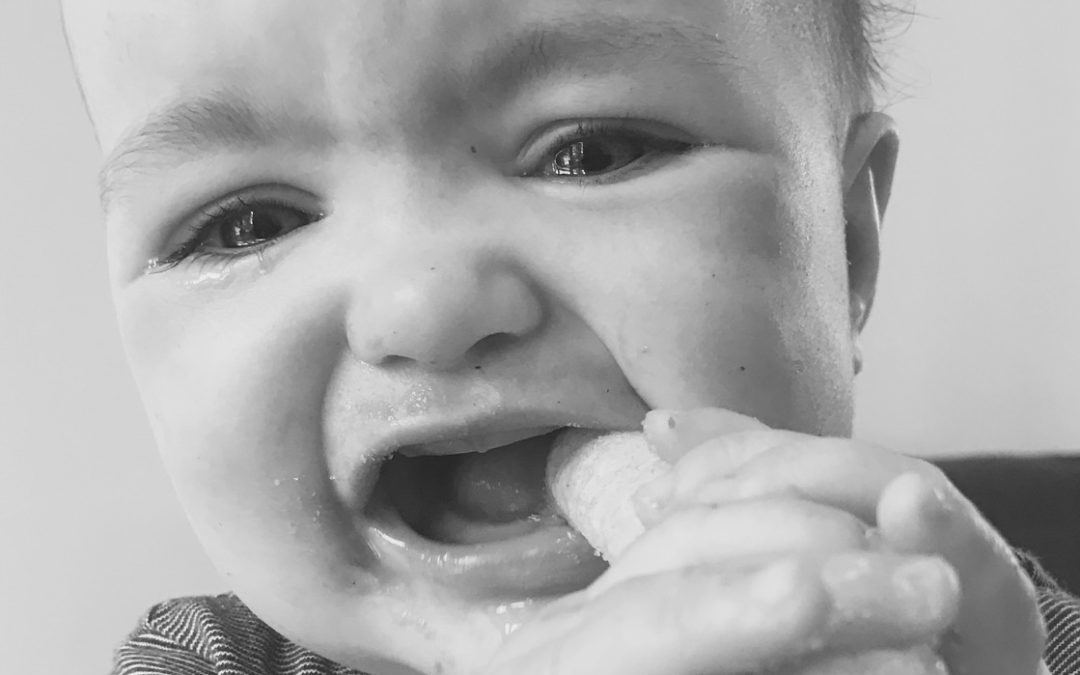 Lunch Shaming… Behind the Scenes of a ‘Pouch Mum’