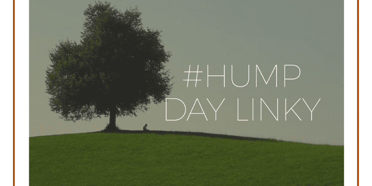 Hump Day Linky – 22/11