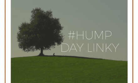 Hump Day Linky – 22/11