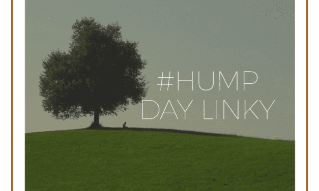 Hump Day Linky 13/12