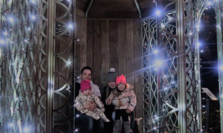 Christmas at the Birmingham Botanical Gardens