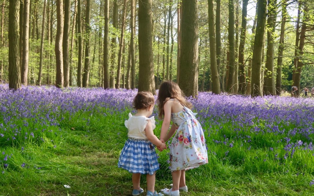 Exploring the Bluebells in Wootton Wawen