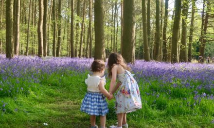 Exploring the Bluebells in Wootton Wawen