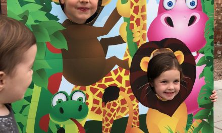 Neve’s Jungle Themed Birthday Party