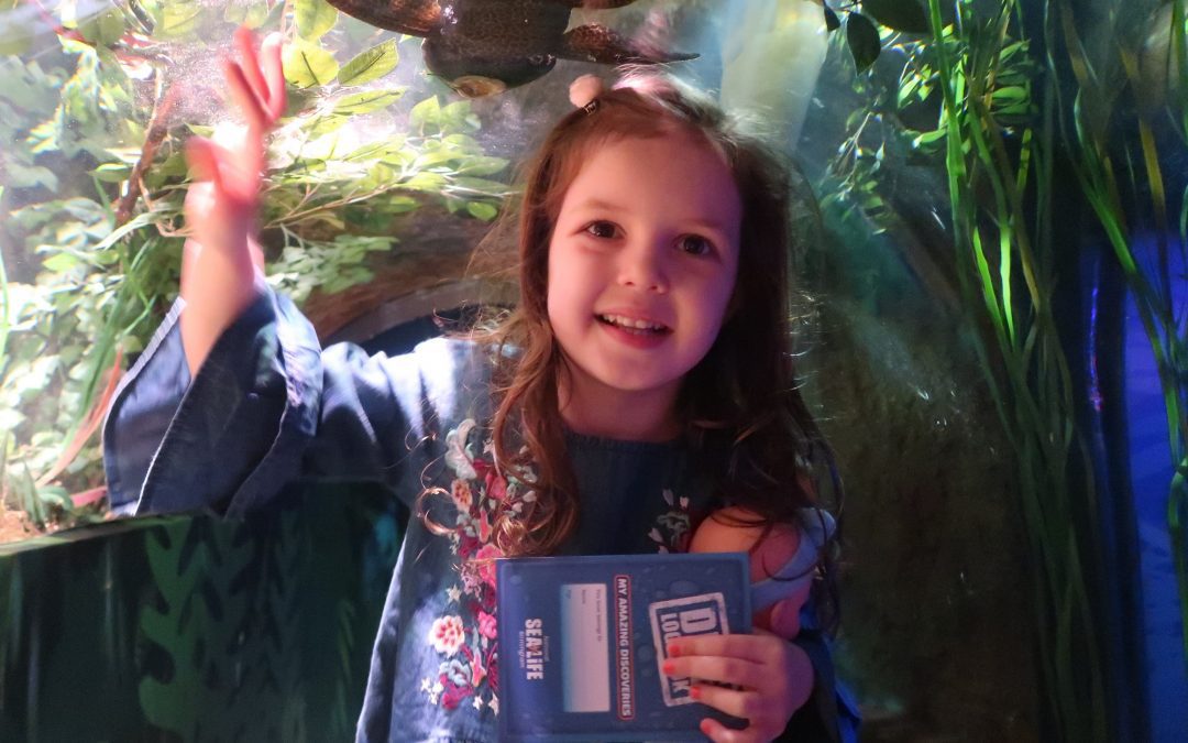 GIVEAWAY – Sea Life Centre #JawsomeSharks Tour with Hasbro