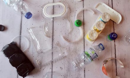 Single-Use Plastic – Make 1Change