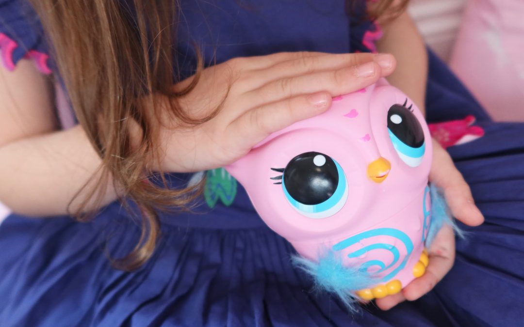 Owleez Review – The Owl Toy that really flies!