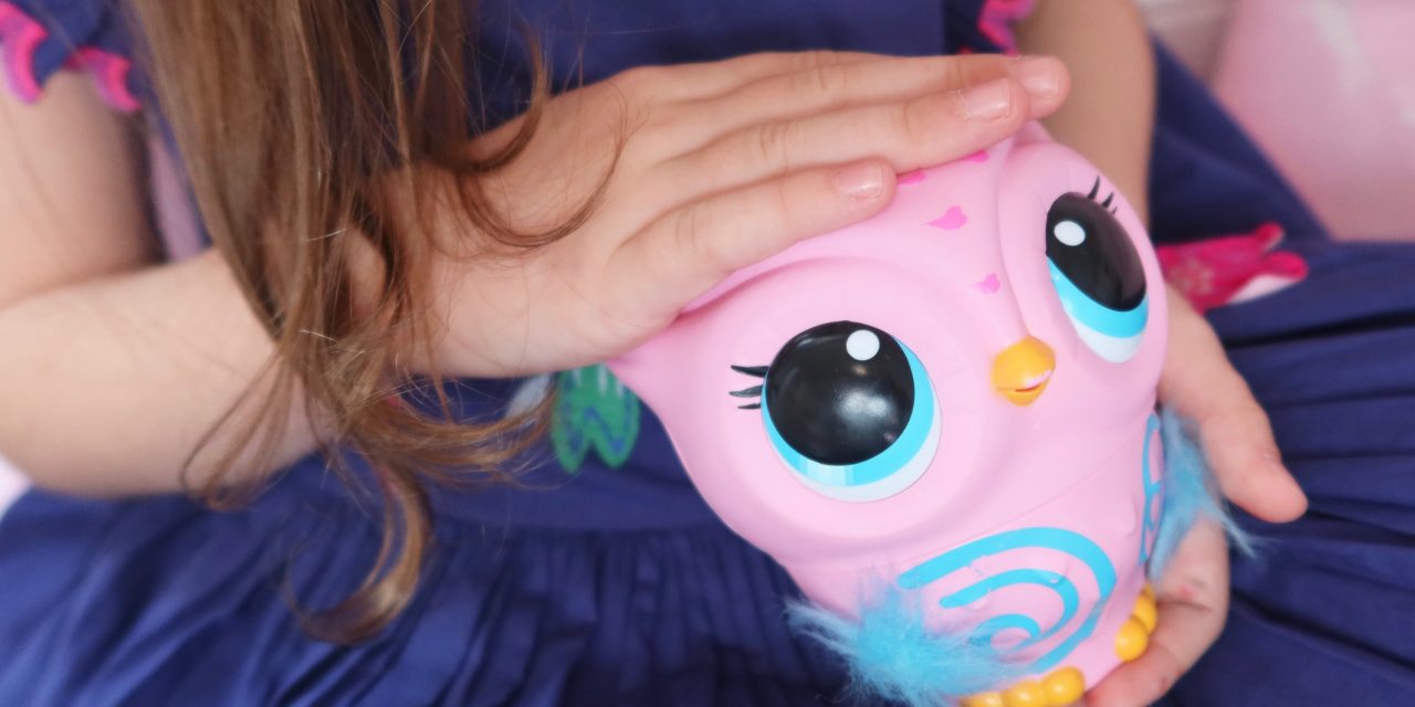 Owleez Review – The Owl Toy that really flies!