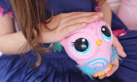 Owleez Review – The Owl Toy that really flies!