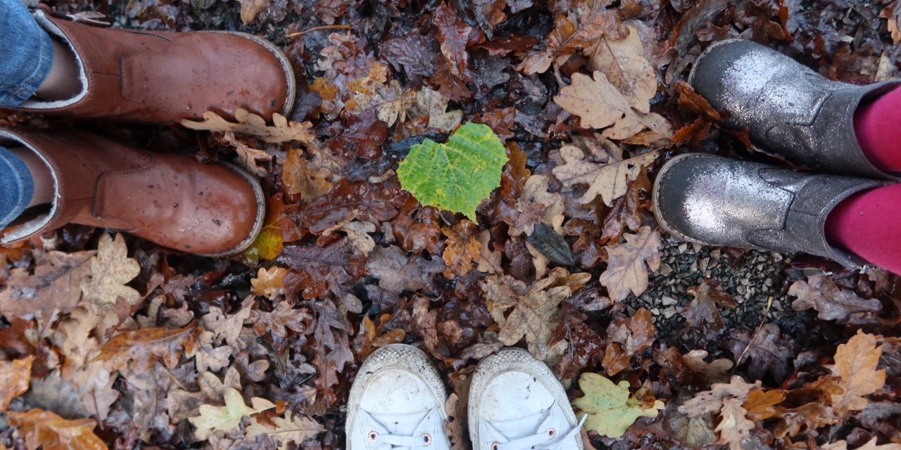 Embracing The Forest School Way