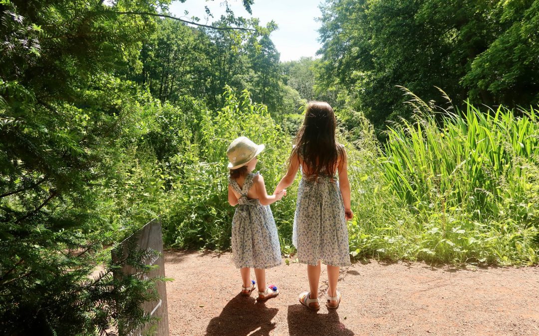 A Socially Distanced trip to National Trust Baddesley Clinton