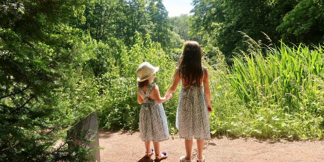 A Socially Distanced trip to National Trust Baddesley Clinton