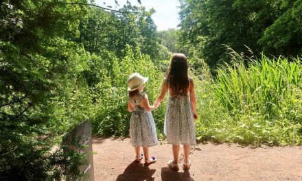 A Socially Distanced trip to National Trust Baddesley Clinton