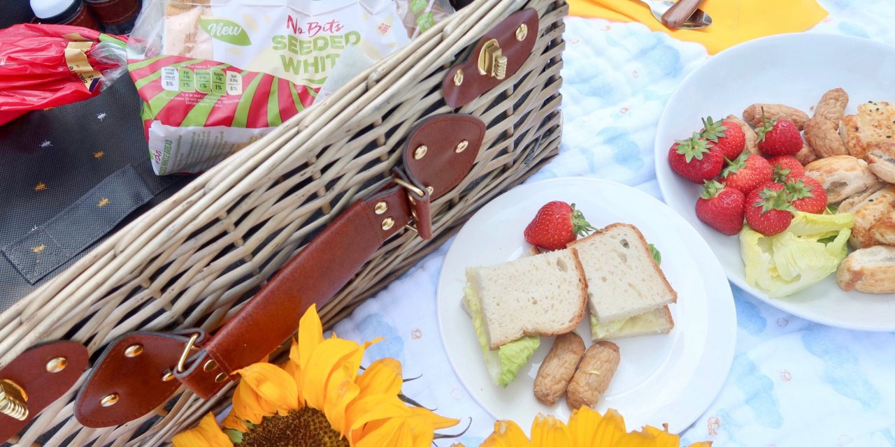 Parents – Take Back Bread for your Family Picnic!