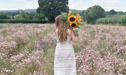 Our Socially Distanced trip to the Real Flower Confetti Fields, Pershore