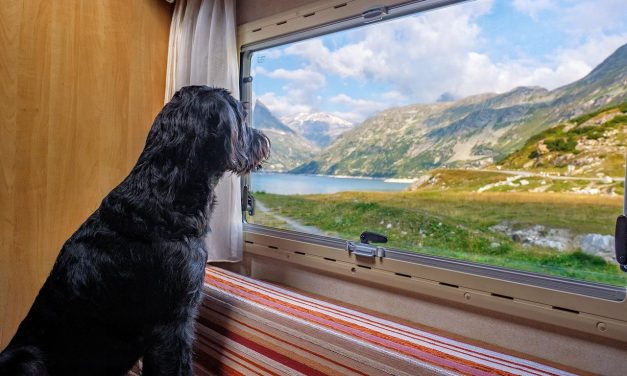 Holiday Freedom with 2 berth Bailey of Bristol Caravans