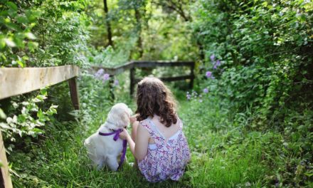 Should We Get A Dog? 4 Reasons Why A Owning A Dog Can Benefit Your Family