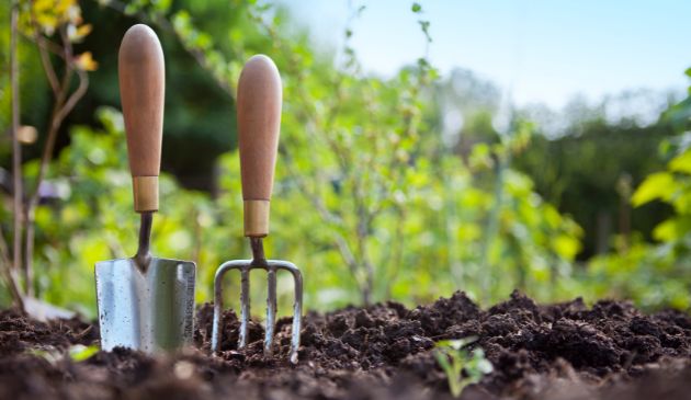 Money-Saving Tips for  the Garden