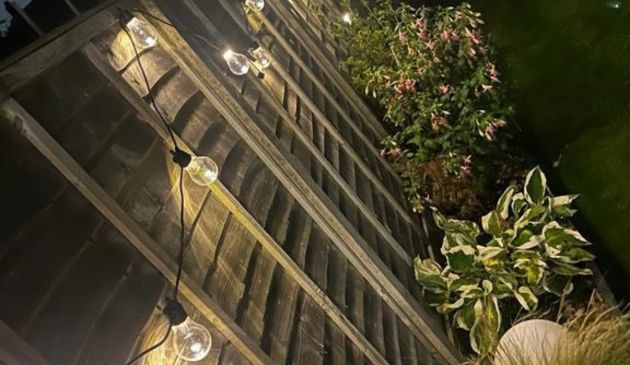 Refreshing your garden space with Festoon lighting