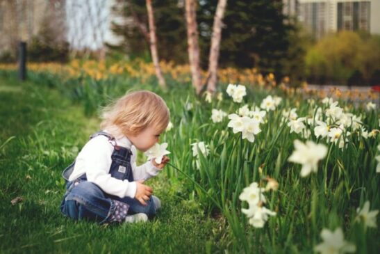 8 Things That Will Make Your Kids Safer in the Garden