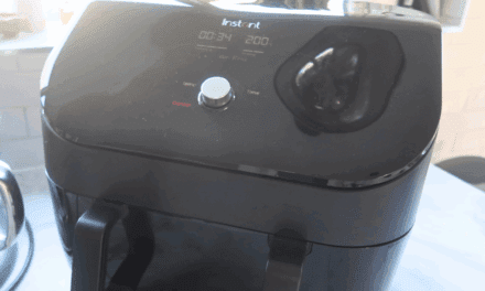 Instant Vortex Plus VersaZone Air Fryer Review