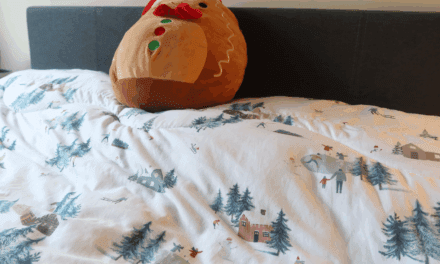 Festive Night Lark Duvet – The Best Coverless Duvet Review