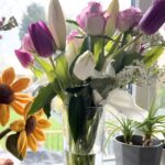 Mother’s Day Gift Guide