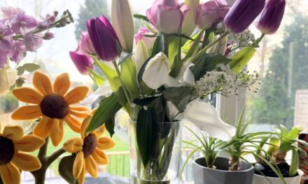 Mother’s Day Gift Guide