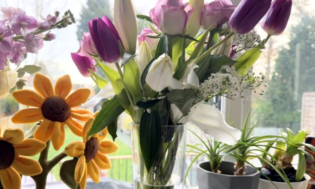 Mother’s Day Gift Guide